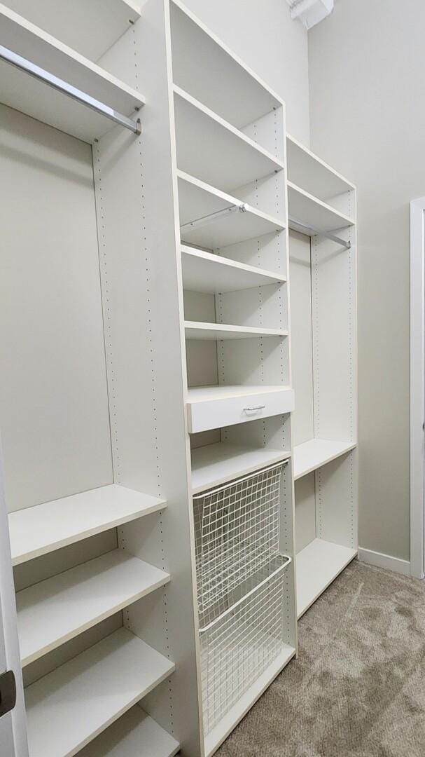 walk in closet with carpet flooring