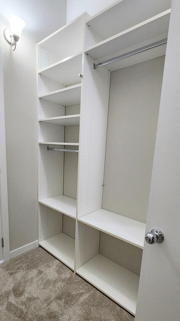 walk in closet featuring carpet flooring