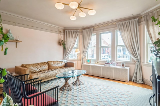 interior space featuring ornamental molding, wood finished floors, and radiator