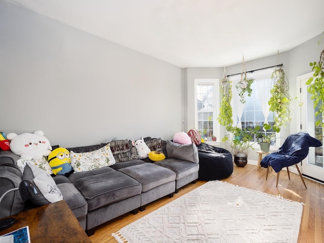 living room featuring wood finished floors