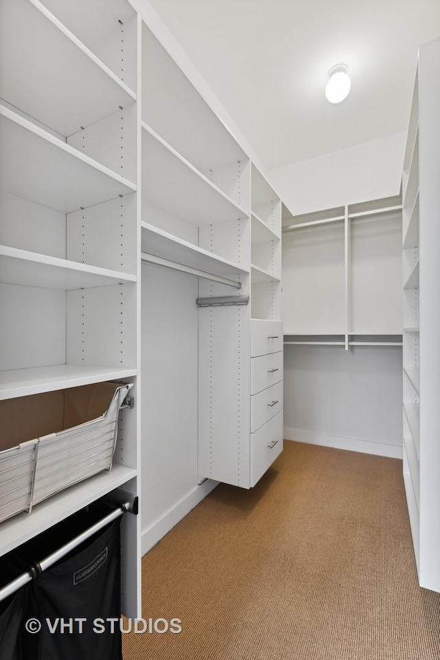 walk in closet featuring carpet