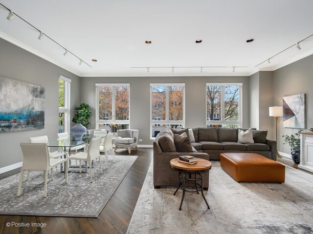 living room featuring rail lighting, ornamental molding, wood finished floors, and baseboards