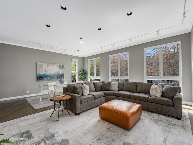living area featuring rail lighting, baseboards, wood finished floors, ornamental molding, and recessed lighting