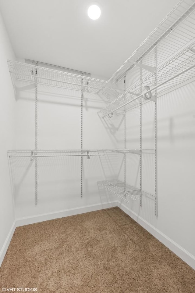 walk in closet featuring carpet flooring