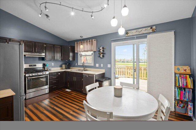kitchen featuring appliances with stainless steel finishes, a sink, lofted ceiling, dark wood-type flooring, and under cabinet range hood