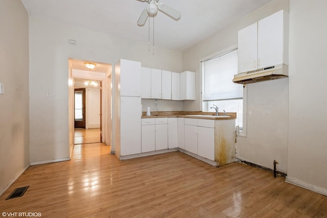 5433 S Carpenter St, Chicago, IL 60609 - kitchen featuring under cabinet range hood, a sink, plenty of natural light, and light wood-type flooring