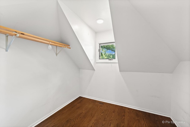 109 3rd Ave, Montgomery, IL 60538 - walk in closet with wood finished floors and lofted ceiling