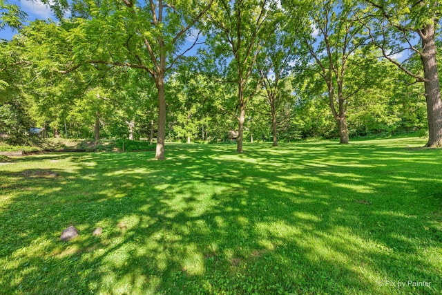109 3rd Ave, Montgomery, IL 60538 - view of grassy yard