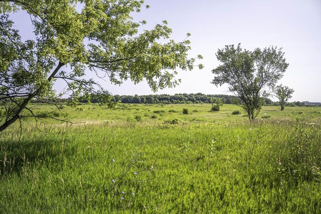 view of local wilderness featuring a rural view