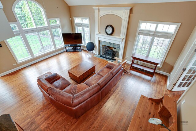 living area with a fireplace, light wood finished floors, and a wealth of natural light