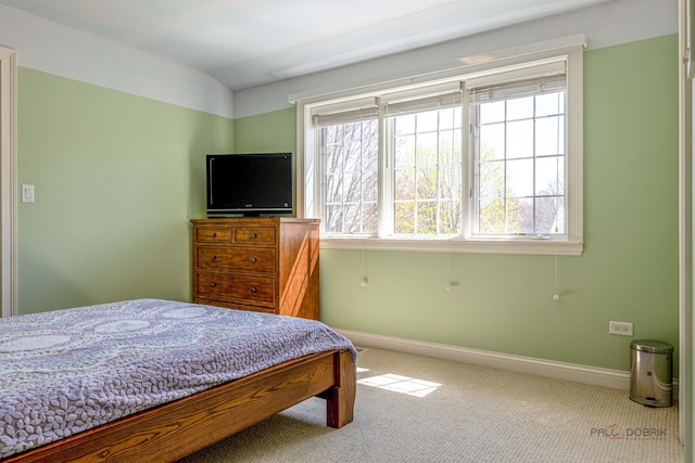 bedroom featuring baseboards, carpet, and multiple windows