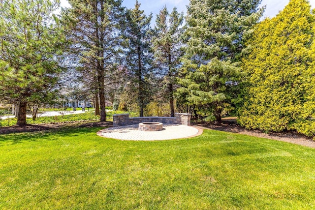 view of yard with a patio area and an outdoor fire pit