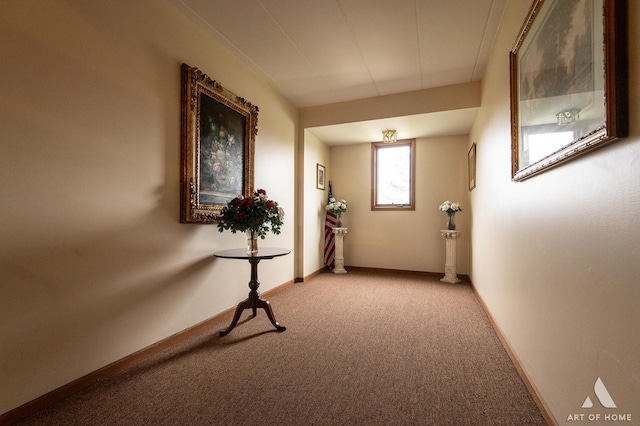 11012 S Theresa Cir Unit 3C, Palos Hills, IL 60465 - hall featuring light carpet and baseboards