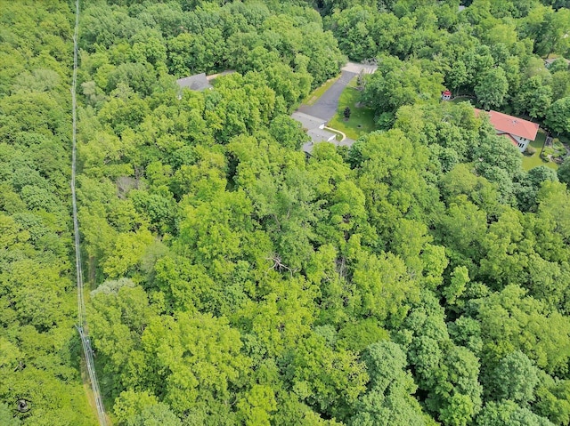 70 Wooden Bridge Dr, Yorkville, IL 60560 - photo 46