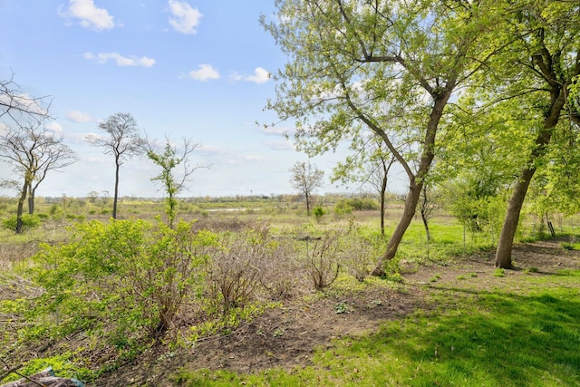 113 Welwyn St Unit 0, Lake Bluff, IL 60044 - view of local wilderness