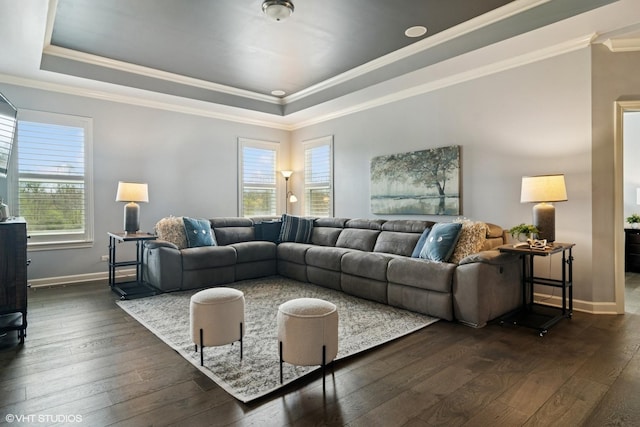 32 E Peter Ln, Hawthorn Woods, IL 60047 - living room with a raised ceiling, dark wood-type flooring, and crown molding