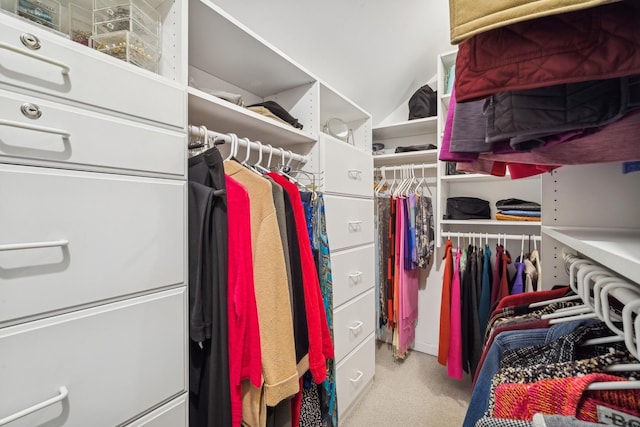 walk in closet featuring carpet floors