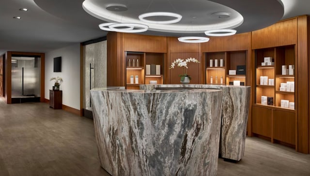 180 E Pearson St Unit 4503, Chicago, IL 60611 - view of reception