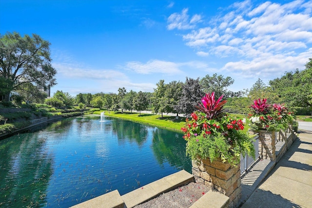 property view of water