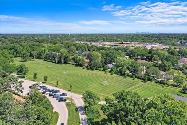 bird's eye view