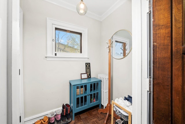 interior space with radiator heating unit and crown molding