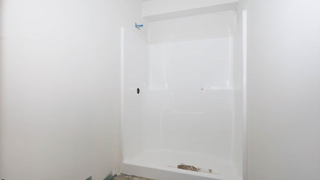 full bath featuring a shower stall