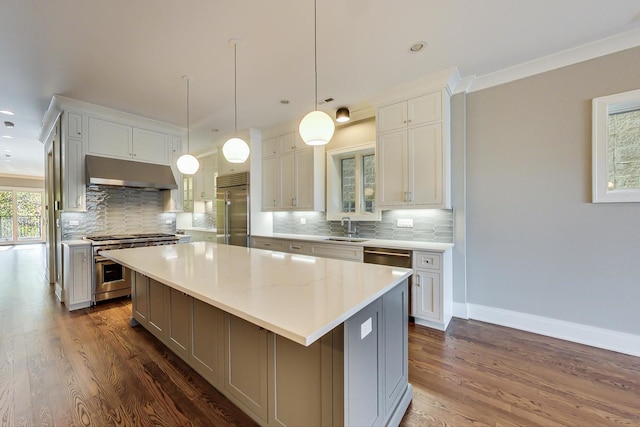 kitchen with a sink, under cabinet range hood, dark wood-style floors, and high quality appliances