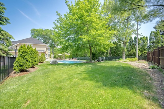 127 60th St, Downers Grove, IL 60516 - view of yard