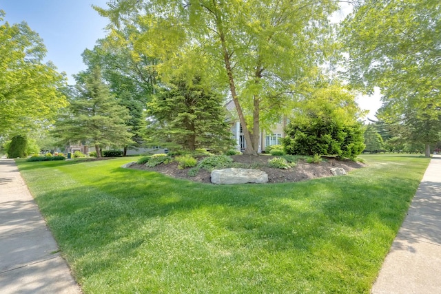 127 60th St, Downers Grove, IL 60516 - view of grassy yard