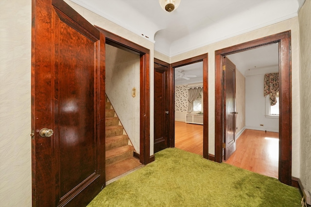 hallway with stairway, carpet floors, baseboards, and wood finished floors