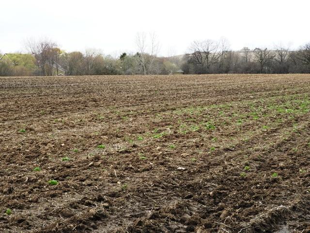 42908 N Lewis Ave N, Winthrop Harbor, IL 60096 - photo 2