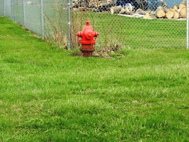 42908 N Lewis Ave N, Winthrop Harbor, IL 60096 - photo 5