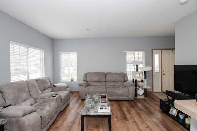 living room with wood finished floors