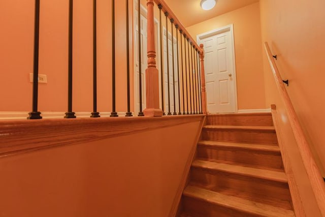 stairway featuring wood finished floors