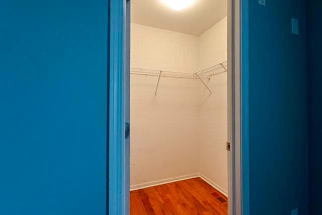 spacious closet featuring dark wood-style flooring