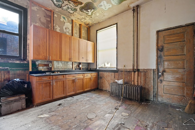 3936 S King Dr, Chicago, IL 60653 - kitchen featuring light wood-style flooring, wainscoting, dark countertops, radiator heating unit, and brown cabinetry