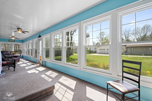 sunroom featuring a ceiling fan, a wealth of natural light, and carpet floors
