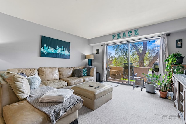 3350 N Carriageway Dr Unit 217, Arlington Heights, IL 60004 - view of carpeted living area