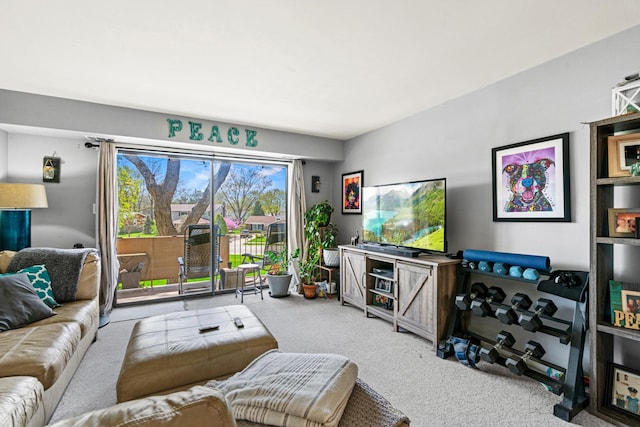 3350 N Carriageway Dr Unit 217, Arlington Heights, IL 60004 - living area featuring carpet flooring