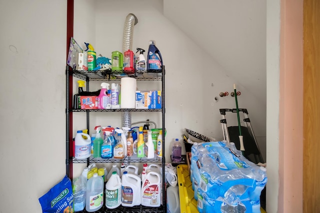 29W395 Greenbriar Ln, Warrenville, IL 60555 - view of storage