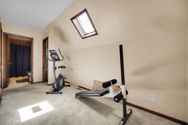 29W395 Greenbriar Ln, Warrenville, IL 60555 - exercise room featuring carpet floors, baseboards, and lofted ceiling with skylight