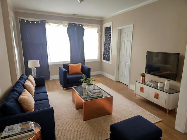 1301 E 73rd St, Chicago, IL 60619 - living room with light wood-style flooring, ornamental molding, and baseboards