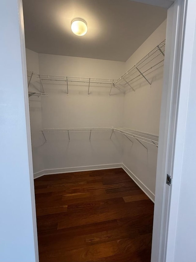 651 N Milwaukee Ave Unit 403, Chicago, IL 60642 - walk in closet featuring dark wood-style flooring