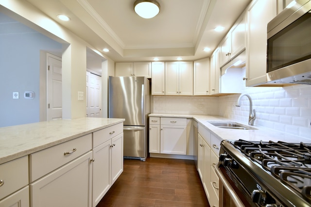 110 W Butterfield Rd Unit 214S, Elmhurst, IL 60126 - kitchen with a sink, a raised ceiling, stainless steel appliances, recessed lighting, and dark wood-style floors