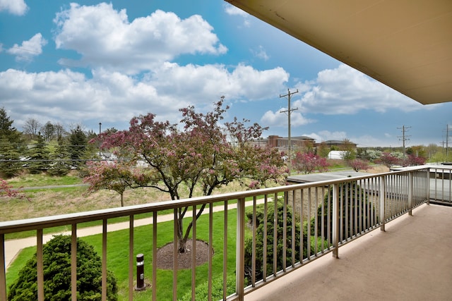 110 W Butterfield Rd Unit 214S, Elmhurst, IL 60126 - view of balcony