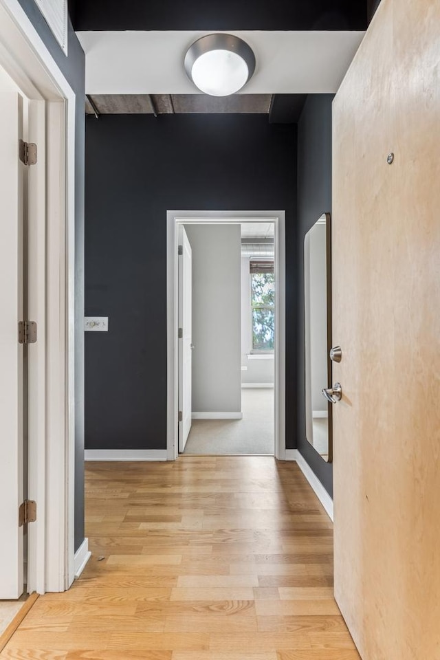 1228 W Monroe St Unit 301, Chicago, IL 60607 - corridor featuring wood finished floors and baseboards