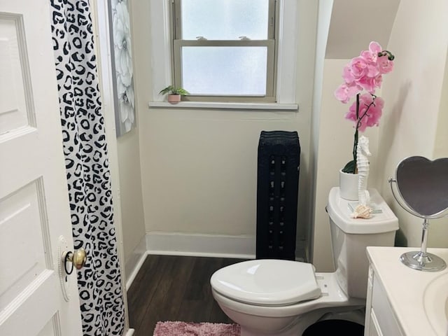 458 Morgan St, Elgin, IL 60123 - bathroom with wood finished floors and vanity