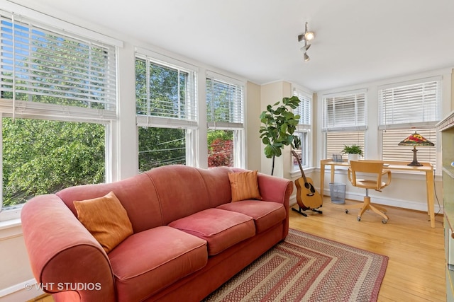 1515 W Glenlake Ave, Chicago, IL 60660 - living room with light wood finished floors