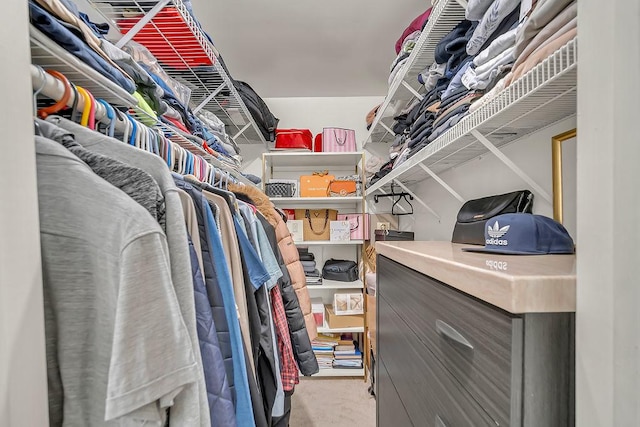 218 Oak Knoll Ct Unit D1, Schaumburg, IL 60193 - spacious closet featuring carpet
