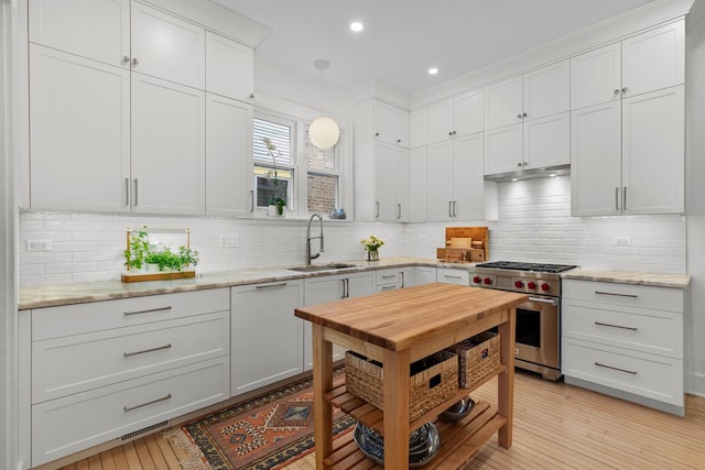 1942 Orrington Ave, Evanston, IL 60201 - kitchen with premium stove, backsplash, white cabinets, and a sink